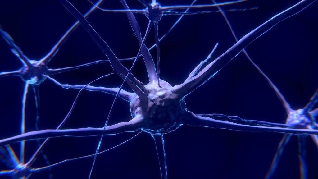 New Technology Boosts Brain Imaging Tmc News